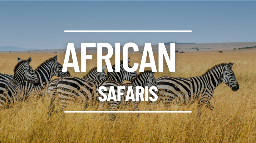 African Safaris